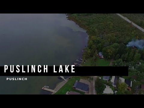 Explore Puslinch Lake