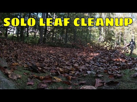 Leaf Cleanup Made Easy | Speed Up Your Yard Work with REDMAX EBZ8560