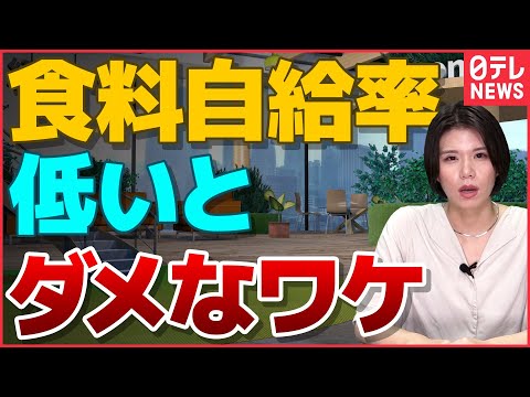農村研究について詳しく解説