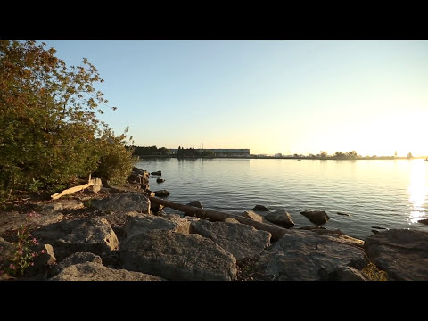 Life Is Beautiful -Film Clip
Life Is Beautiful -Film Clip