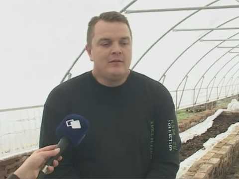 HUMUS I GLISTE IZ GUNJE