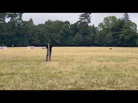 Nicolas Annaloro with CASSELVELD QUEEN