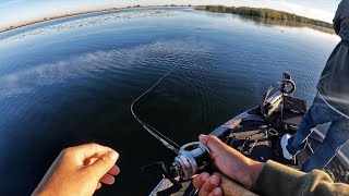 Late Fall Fishing on the California Delta (2024 edition)