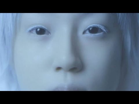 Italia: viaggio nella bellezza - Ogni due anni a Venezia