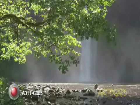 smooth jazz - dizzy gillespie - closer to the source