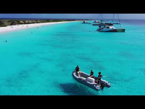 Diving Klein Curacao | About Jackie Fine Diving