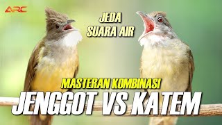 Download lagu MASTERAN CUCAK JENGGOT DAN KAPAS TEMBAK PALING MEWAH AUDIO JERNIH JEDA AIR MENGALIR mp3 Download lagu MASTERAN CUCAK JENGGOT DAN KAPAS TEMBAK PALING MEWAH AUDIO JERNIH JEDA AIR MENGALIR mp3