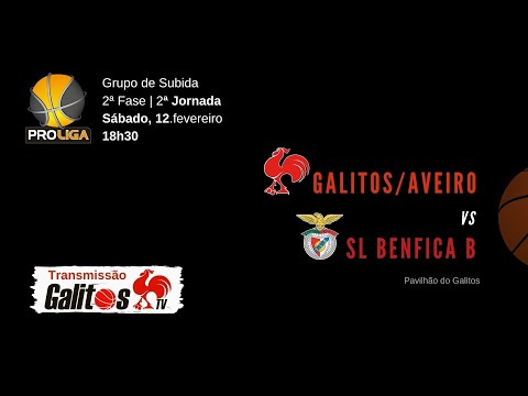Proliga | Galitos/AVEIRO vs SL Benfica B