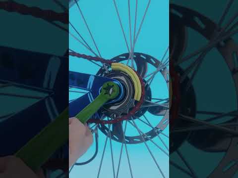 Tightening A Single-Speed Bike Chain 😏