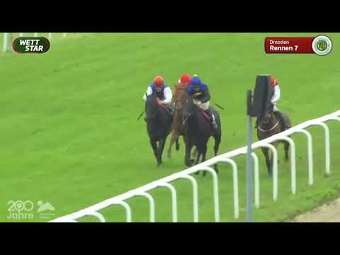 Galopprennbahn Dresden   27 08 2022   - 7.Rennen