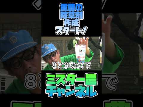 重曹と酢は天然の除草剤レシピで効果的に機能しますか?  庭園