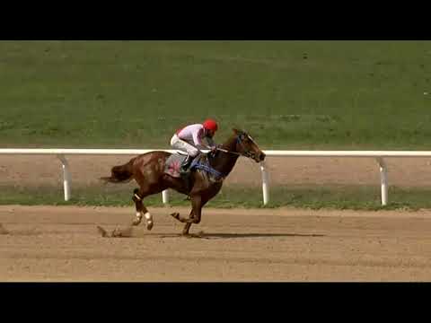 11/09/2020 – Hipodromo Paysandu – Carr 1 – WALLABIE