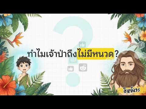 คลิกเพื่อดูคลิปวิดีโอ
