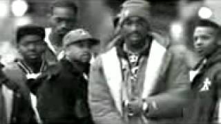 2paC ft anna - cant back down -