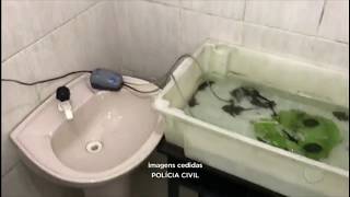 Miniatura do vídeo