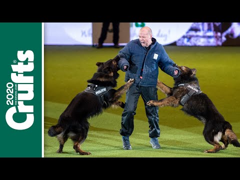 ?逃げも隠れもできない！ (? STOP ?You can't run OR hide from these police dogs!)