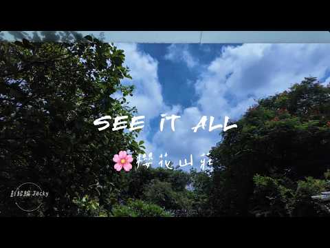 照片