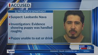 El Paso police release mugshot of suspect accused of killing puppy at local grooming shop