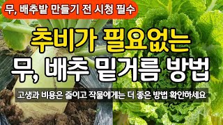 무, 배추 밑거름은 이렇게! 추비가 필요없어 고생과 비용은 줄이고 작물에게 이로운 밑거름 방법