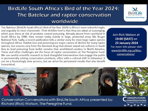 Conservation conversations: Bird of the Year 2024 Bateleur - Dr Rick Watson (23Jan24)