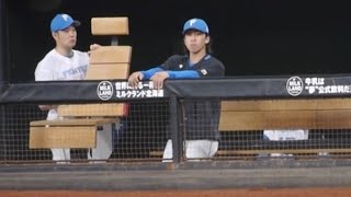 [閒聊] 火腿細野晴希