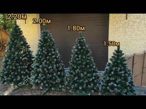 Ялинка Елітна з шишками 2.00 м - фото 2 - id-p1068964384