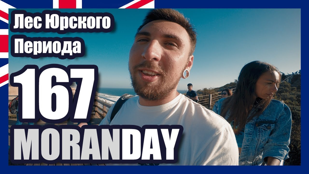 Moran Day 167 - Лес Юрского Периода (Австралия)