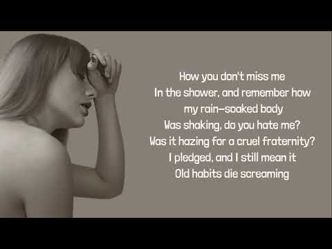 Taylor Swift - The Black Dog lyrics