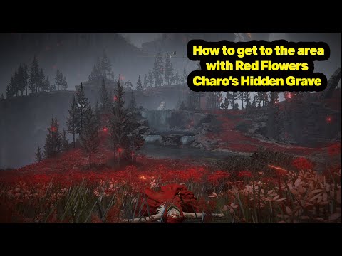 Hot to reach the area with red flowers/Charo's Hidden Grave Shadow of Erdtree