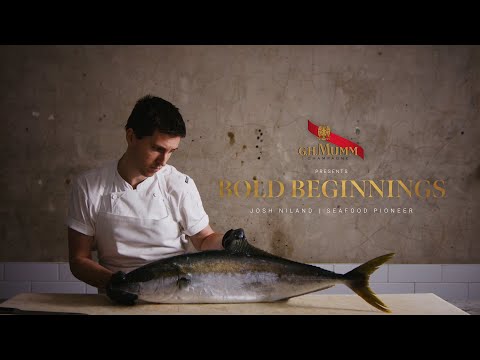 BOLD BEGINNINGS | Josh Niland, Seafood Pioneer