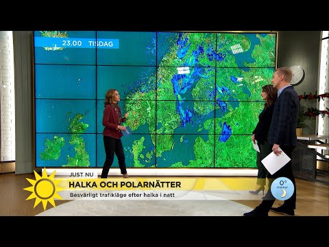 Se upp för Halkan! - Nyhetsmorgon (TV4)