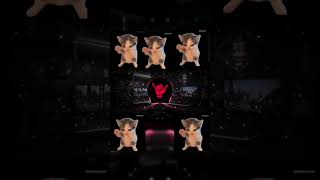 Download lagu DJ KICAU KICAU KICAU MANIA SLOW VIRAL TIKTOK TERBARU 2026 mp3 Download lagu DJ KICAU KICAU KICAU MANIA SLOW VIRAL TIKTOK TERBARU 2026 mp3