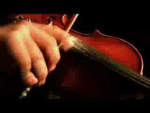 Video thumbnail for Said the Spider to the Fly