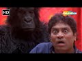 Phir Hera Pheri | Johny Lever ni paachad Gorilla Padyo | Gujarati dubbed movie | Akshay, Suniel
