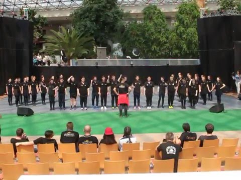 Kud Mladost Leobersdorf 2016