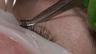 BLINDING BEAUTY: The safe way to get long lashes