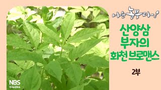 [나는농부다 252회 2부] 산양삼 부자의 화천 브로맨스