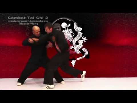 Tai Chi Combat - Applications Fight
