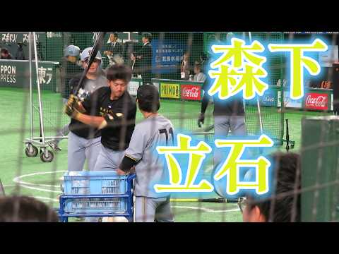森下翔太が立石正広にいたずらをする 2026.5.24