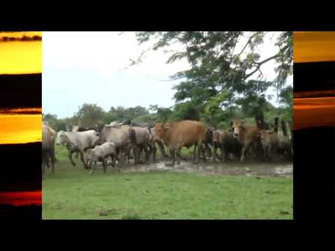 Esto si es llano Cuñao'