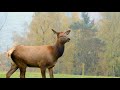 4k Video Ultra HD 4k Video Best Quality 4k Video HDR Video Original 4k Video 4k Video Song Music