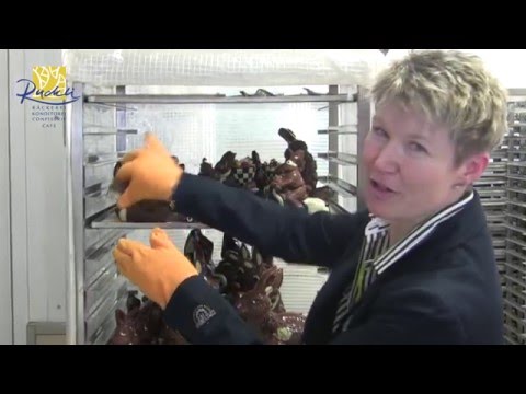 Lucia Rucklis Lieblings-Osterhasen