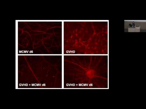 Seeing Eye To Eye Lecture