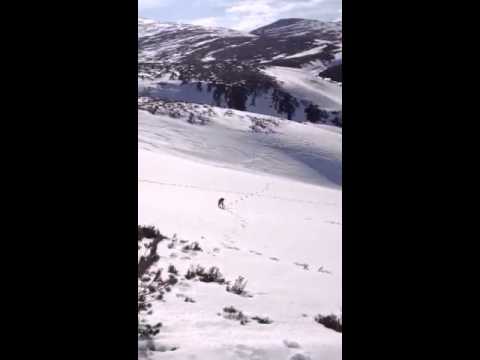 Cairngorm April 2013