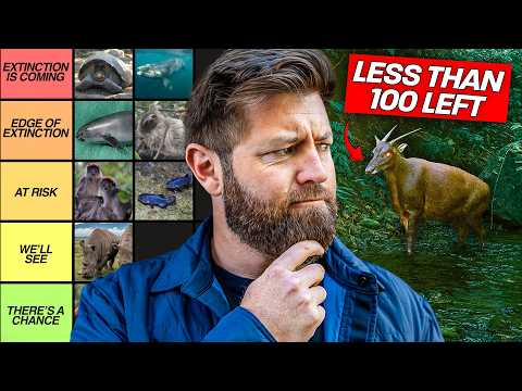 27 Animals That Are About To Go Extinct