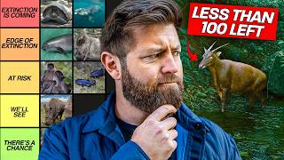 27 Animals That Are About To Go Extinct