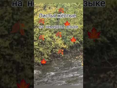Шлягер ,,Листья жёлтые" на немецком языке 🍂🍁
