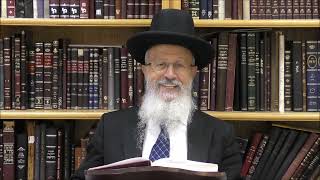 הגאון הרב אברהם יוסף שליט"א האם יהיה מותר בסליחות לומר קטעים בארמית לפני חצות ליליה (הרב אברהם יוסף) - התמונה מוצגת ישירות מתוך אתר האינטרנט יוטיוב. זכויות היוצרים בתמונה שייכות ליוצרה. קישור קרדיט למקור התוכן נמצא בתוך דף הסרטון