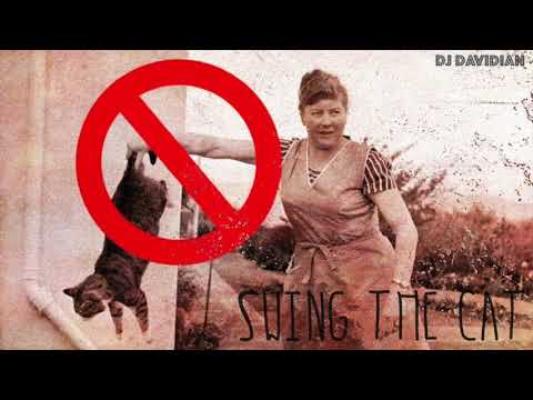 DJ Davidian - Swing the Cat (DJ Set)
