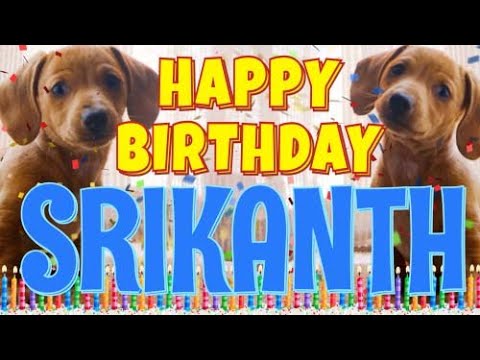 Funny Happy Birthday Srikanth Song Epic Talking Dogs What Is Free On My Birthday